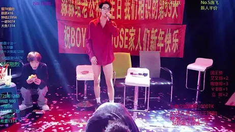 BOYGAYHOUSE1 webcam model stream image