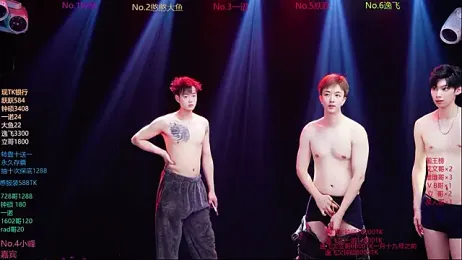 BOYGAYHOUSE1 webcam stripchat model stream image