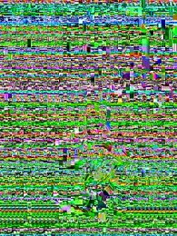 sparikor webcam model stream image
