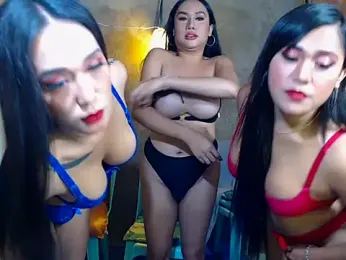 3sexyfuckingtrans webcam stripchat model stream image