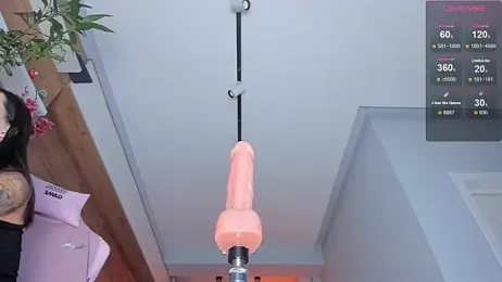 maakimo webcam model stream image