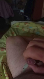gordito203 webcam model stream image