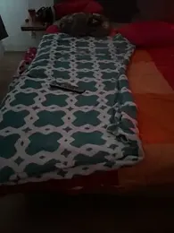 Jaropol webcam model stream image