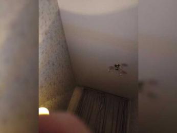 Vgtyhn webcam bongacams model stream image