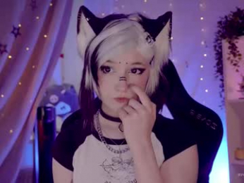 vronnier webcam model stream image