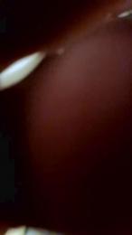 Laccio7up webcam model stream image
