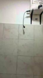 IronLux webcam model stream image