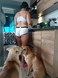 LEIRIS_Y_FRED_01 webcam model stream image