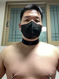 wolfdogwip webcam model stream image