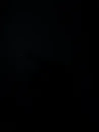 Lyon_vach webcam model stream image