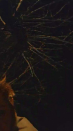 Daniela7145 webcam model stream image
