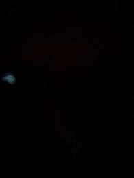 naughtyannu webcam model stream image