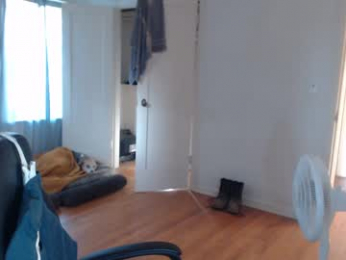 oregon87 webcam model stream image