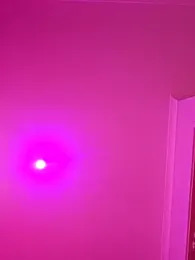 Pussy69Kat webcam model stream image