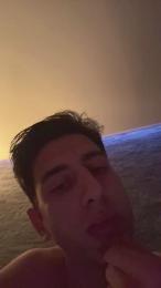 Vitruvio30 webcam model stream image