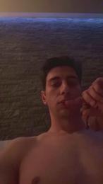 Vitruvio30 webcam model stream image