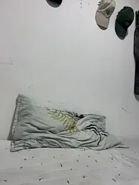 Nas-z09 webcam model stream image