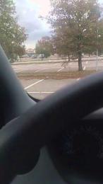 milkpigcum webcam model stream image