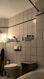 germanman66 webcam model stream image