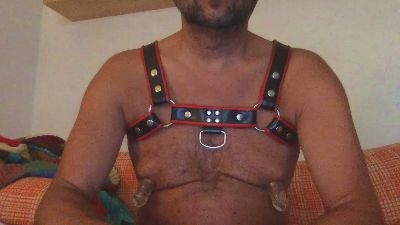 saubear2 webcam model stream image