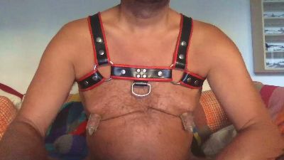 saubear2 webcam model stream image