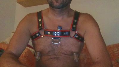 saubear2 webcam model stream image