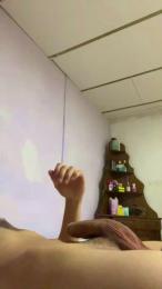 Pollonloco27 webcam model stream image