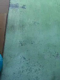 Tamilselviroja- webcam stripchat model stream image