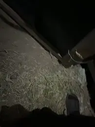 Axel74088 webcam model stream image