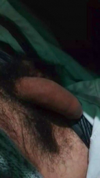 Pipi32233 webcam model stream image