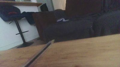 chasser webcam model stream image