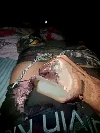 putoecachorro webcam stripchat model stream image