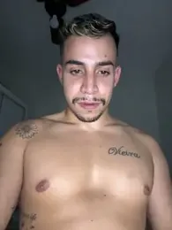 Obrab_ webcam model stream image