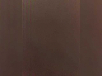 DonDigDonnn webcam model stream image