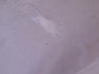 waltsobchak webcam chaturbate model stream image