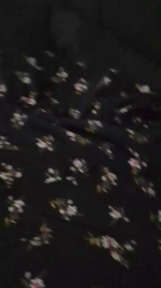 AninhaSafidinha webcam model stream image