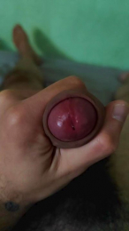 Stan9341 webcam model stream image