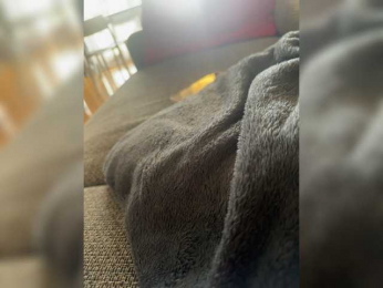italiancouple7677 webcam model stream image