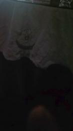 Tigrevk webcam model stream image