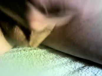 felicaste webcam model stream image