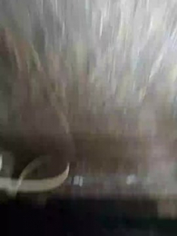 Prakashtondu webcam model stream image