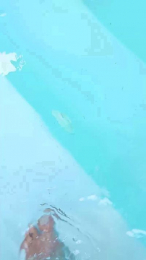 Lasalope91 webcam model stream image