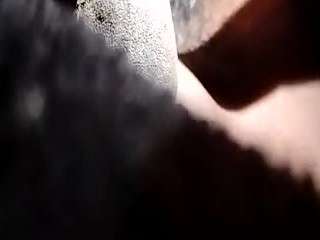 litigiousknock webcam model stream image