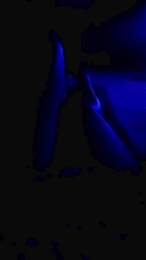 niky193 webcam model stream image