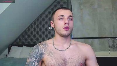 PalmarisFord webcam model stream image