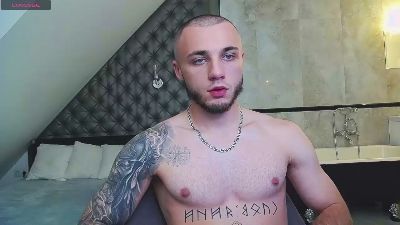 PalmarisFord webcam model stream image