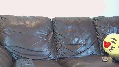 PalmarisFord webcam model stream image