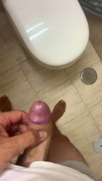 Moskita1 webcam model stream image