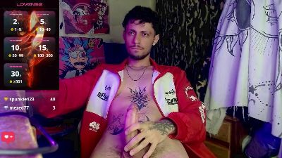 codenok webcam model stream image