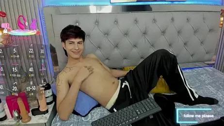 Estiv18_ webcam model stream image